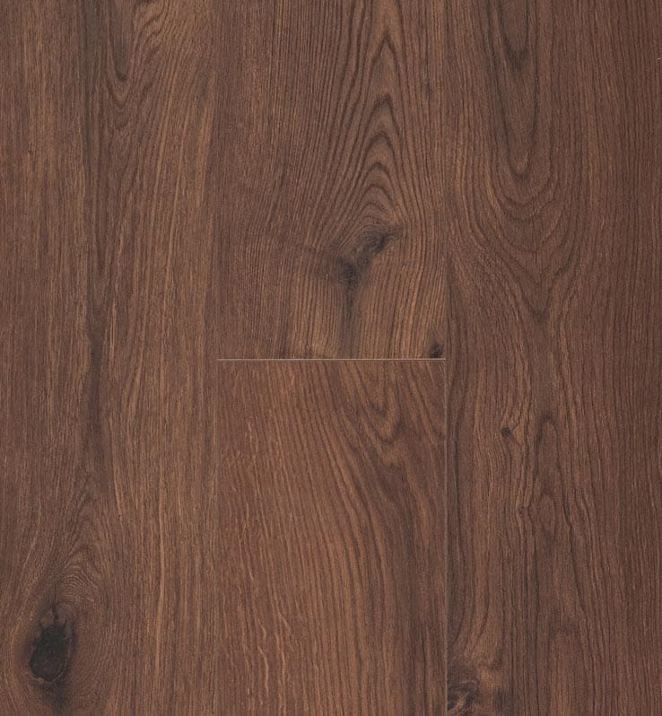 Connect 8 V4 Gyant Warm Brown BA_list